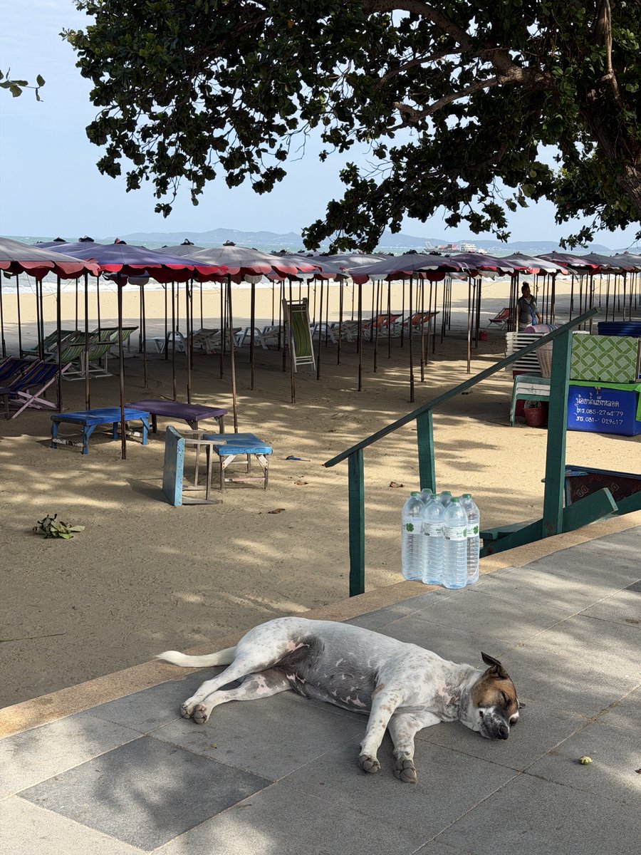 104pp_'s tweet photo. Pattaya、
今朝も静かなジョムティエンビーチ⛱️ https://t.co/oluORTJcUa
