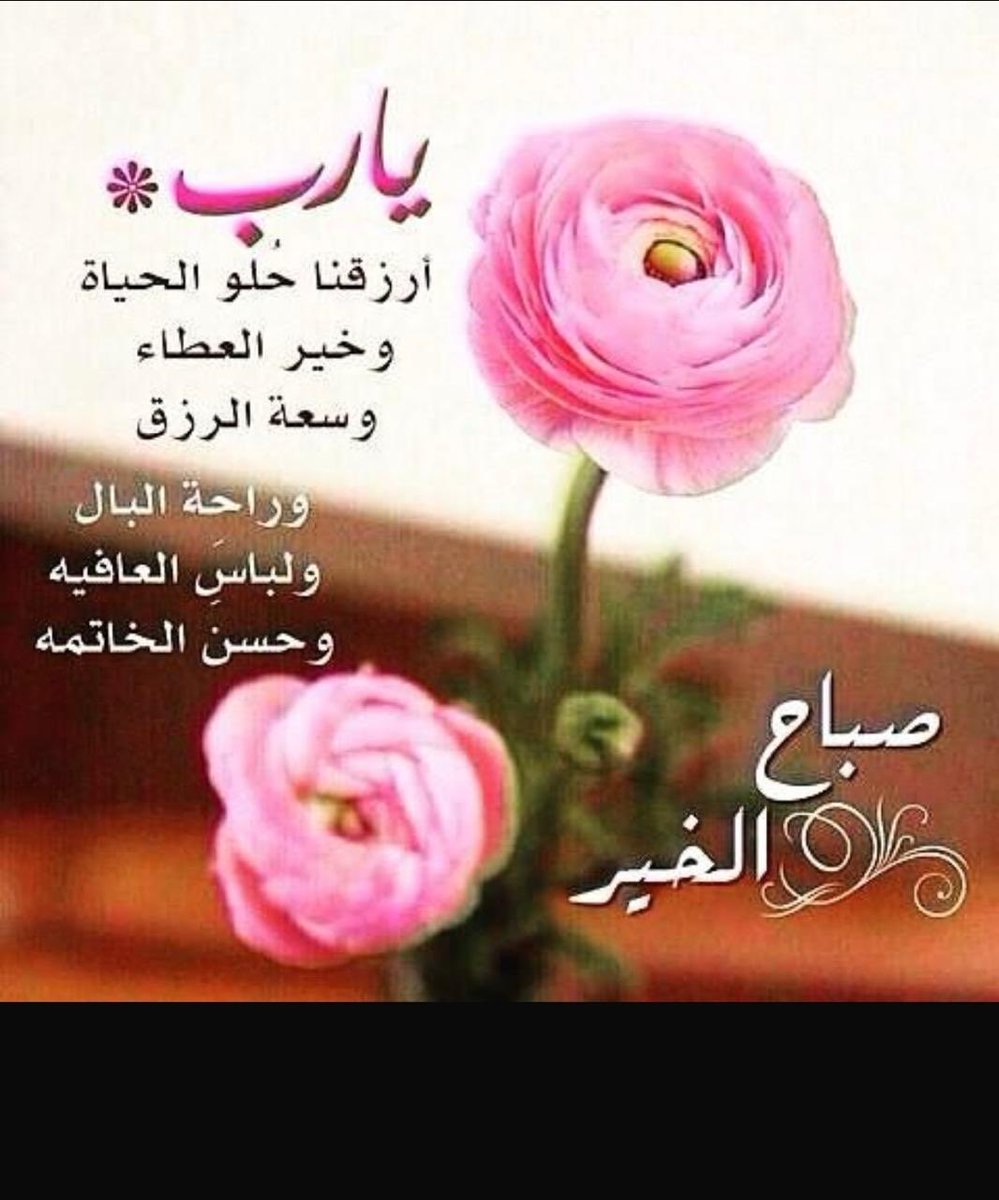 abohadi987's tweet photo. https://t.co/PTO279Pm7C