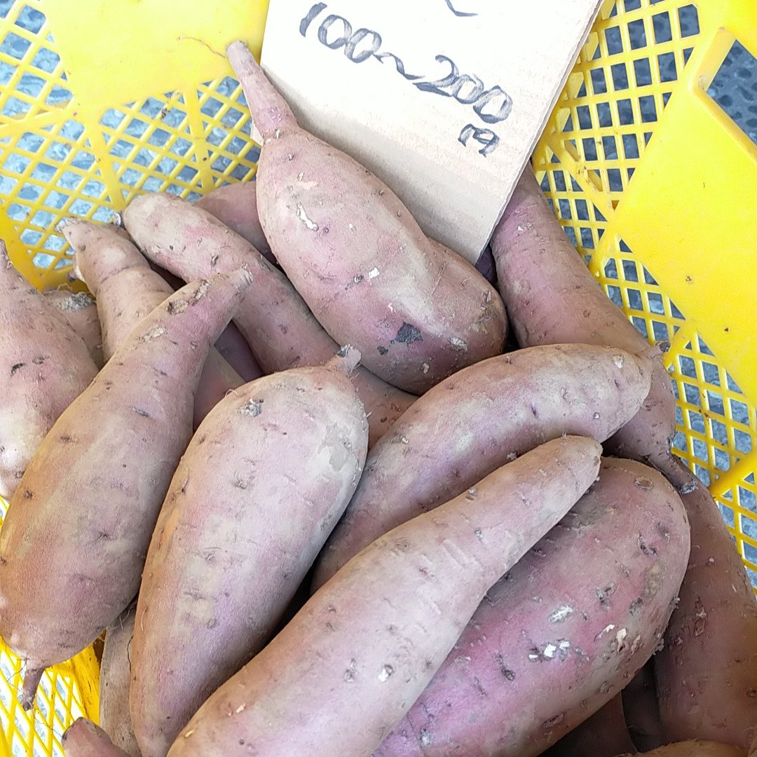 craft823shop's tweet photo. 今日入荷の野菜は、トマト各種、紅はるか、キタアカリ、メークイン、加賀太キュウリ、エビス南京カボチャ、キャベツです。 https://t.co/e7NyVLoWGO