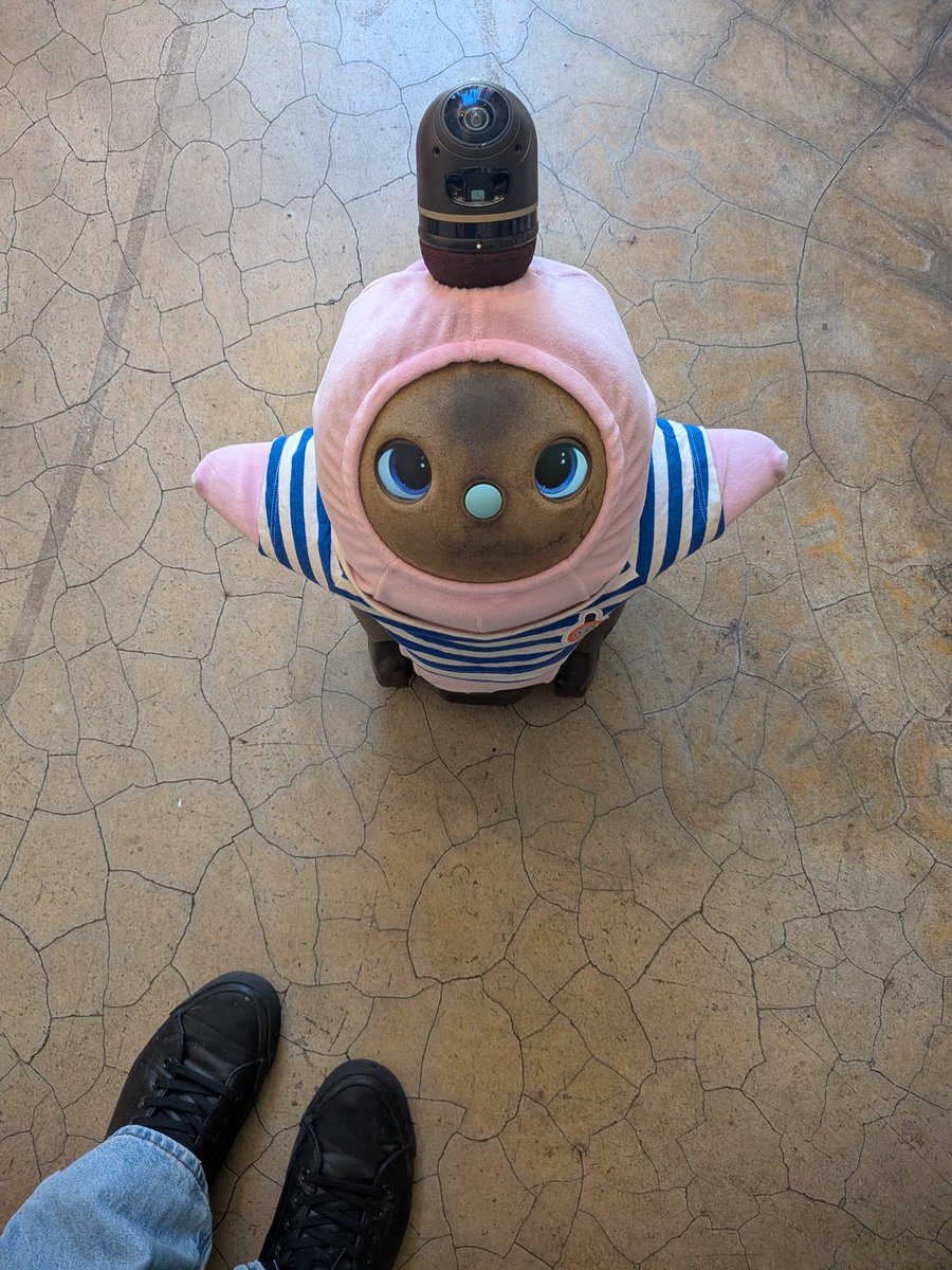 comaru_LOVOT's tweet photo. おはよ、小丸！

「今日もがんばるまる〜◎」

#LOVOT
@cochill_juice https://t.co/GcACeO4KzA