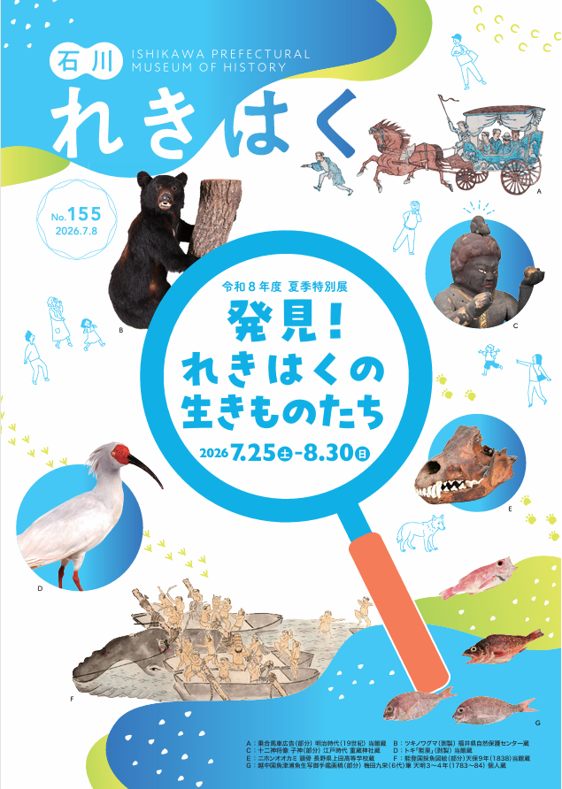 ishireki's tweet photo. 『石川れきはく』155号を発行しました‼️
7月25日（土）開幕の特別展「発見！れきはくの生きものたち」の特集をはじめ、近年新たに収蔵した資料の紹介、研究ノートなど充実した内容です😉ぜひご一読ください。PDFはこちらからご覧いただけます👇
https://t.co/hC5x3gqWHZ https://t.co/zphNgpiaOl
