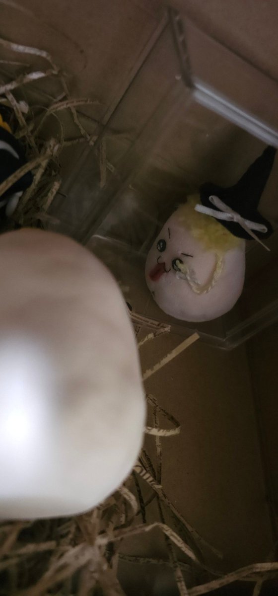 Marcha_om's tweet photo. ゆぴ～…

…なにみてるじぇ？まーたはみせもにょじゃにゃいのじぇ！たりゆめ！ふぁきゅじぇぇえ！

またこいつ指立てて喧嘩売っとる…

ゆぅ～！！

な、なんじぇ！くりゅにゃ！まーたはおねしゃじぇ！まーたは…っ、まーたはいないいなじぇ！

喧嘩売った癖に詰められてもるもるけつ振って逃げてら https://t.co/zMcRsJypYA