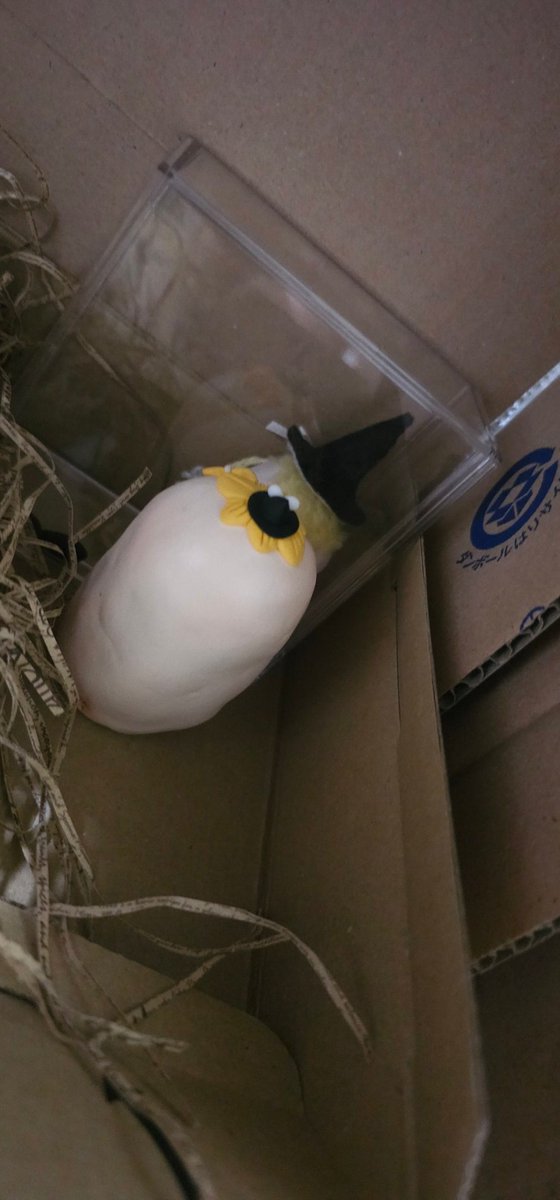 Marcha_om's tweet photo. ゆぴ～…

…なにみてるじぇ？まーたはみせもにょじゃにゃいのじぇ！たりゆめ！ふぁきゅじぇぇえ！

またこいつ指立てて喧嘩売っとる…

ゆぅ～！！

な、なんじぇ！くりゅにゃ！まーたはおねしゃじぇ！まーたは…っ、まーたはいないいなじぇ！

喧嘩売った癖に詰められてもるもるけつ振って逃げてら https://t.co/zMcRsJypYA