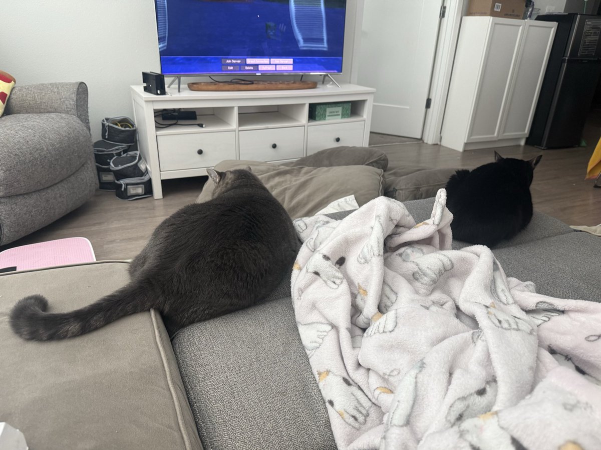 rottenpotato28's tweet photo. very content with my #boys right #meow ๐ https://t.co/huN65F5IvI