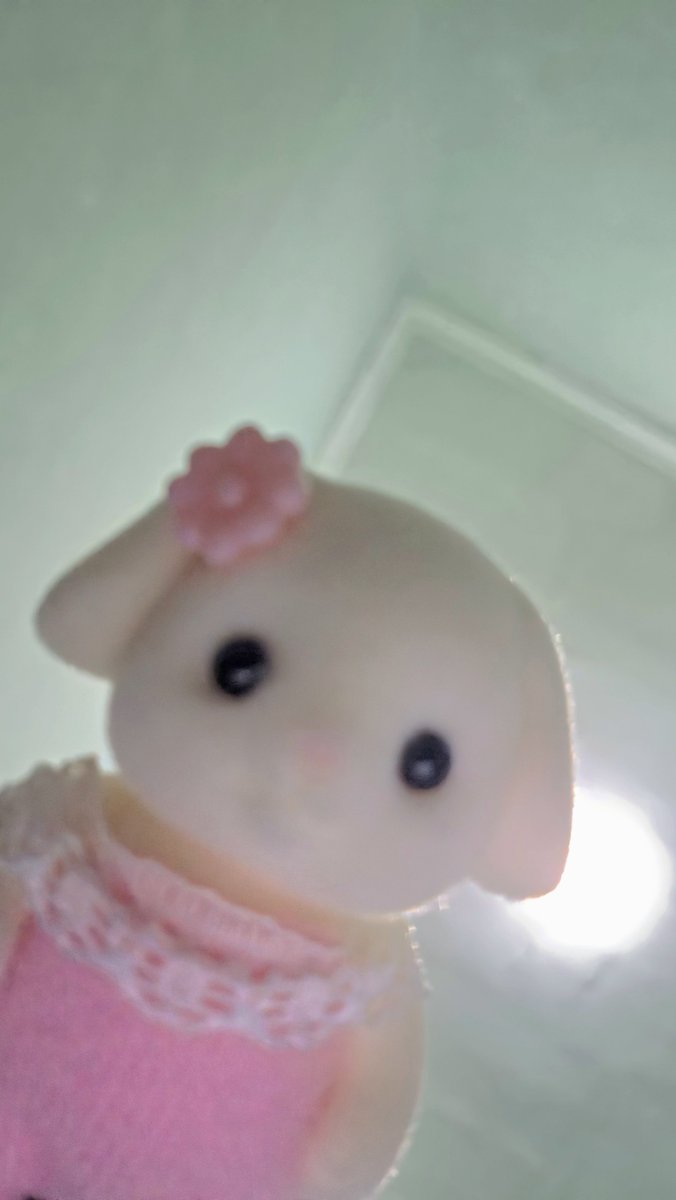 pocacutiies's tweet photo. welcome home dd cielll🐰⭐️💬🎀‼ https://t.co/u3DsEyQGI6