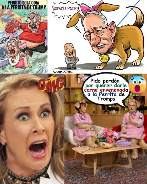 AntonioJMarti's tweet photo. GLnoticiasMx

El Evasor regaña a Don Mayoneso, por sus dichos de que le den carne envenenada a los perritos, y lo obliga a  pedir disculpas en Ventaneando, https://t.co/XWu0mMPewa