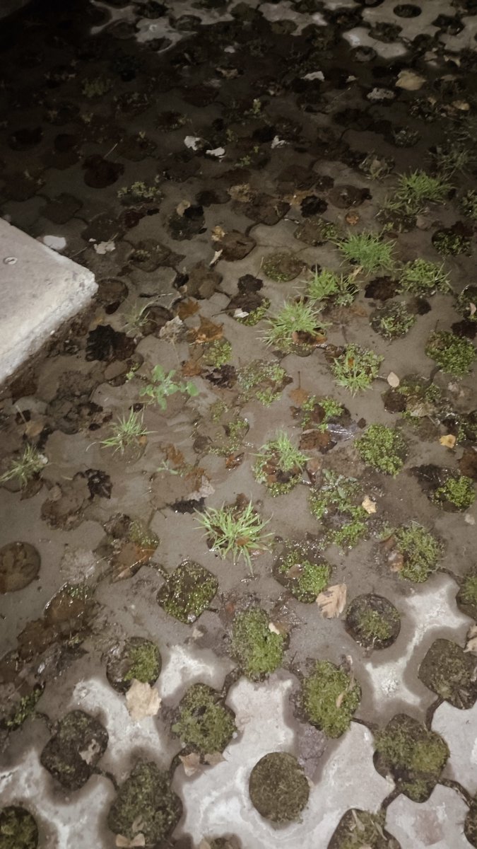 Fedevallone's tweet photo. @AguasMendocinas  fuga de agua bajo transformador de EDEMSA, ubicación ( 24CF+4GR Luján de Cuyo, Mendoza ). https://t.co/q51AyMzc5U