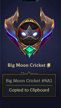 TunnelBlaster's tweet photo. @RiotSupport @drewlevin how do names like this get past moderation? https://t.co/RmW38AqmLQ