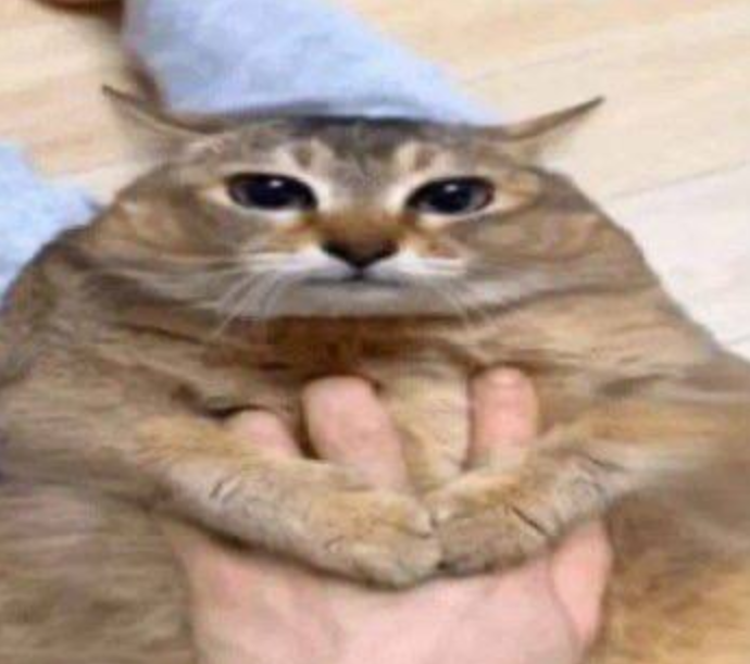 iannzits's tweet photo. A Nintendo do nada quotando um post de loja do Fortnite https://t.co/4bhtx2aB9X