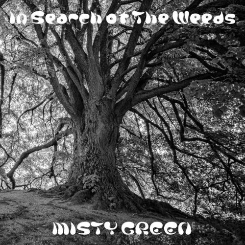 diskunionMETAL's tweet photo. 【国内盤】【予約開始】#duメタル予約

MISTY GREEN / IN SEARCH OF THE WEEDS

70年代のブリティッシュハード・ロックやNWOBHMに影響を受けた名古屋のドゥーム/ストーナー系のメタル・バンドの1stアルバム。

ご予約はこちら⏬
https://t.co/Ta0XqhuqdM https://t.co/ms5glKsq4D