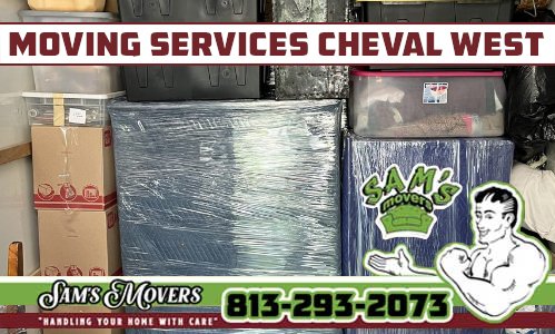 Samsmovers's tweet photo. 813-293-2073 Sam's moving services for Cheval West include packing, labor, and transportation. 

#MoverChevalWest #MoversChevalWest #MovingCompanyChevalWest
#Mover #Movers #MovingCompany #ChevalWestFL #HillsboroughCounty

https://t.co/ORyQpcFeRe https://t.co/uXs0ilu2pJ