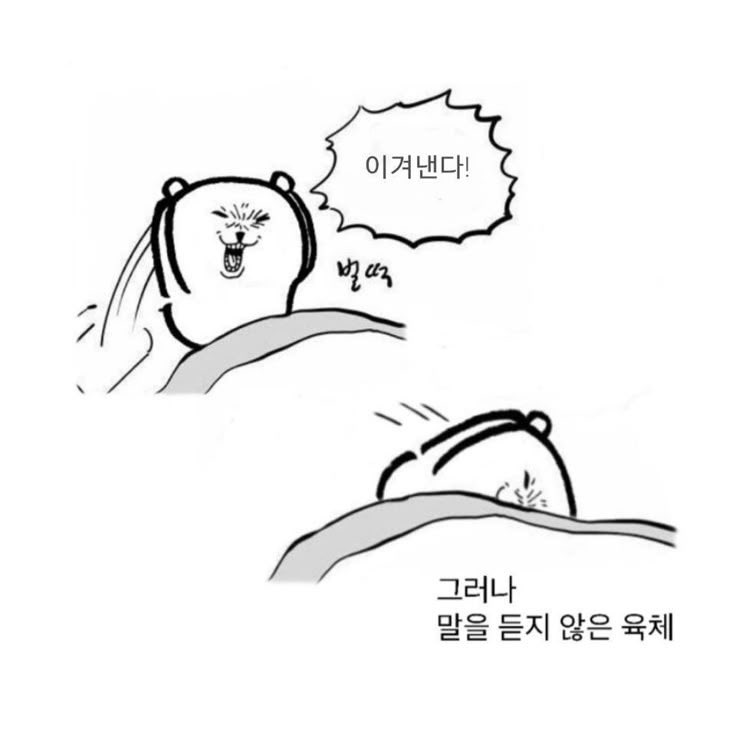 Hahahah0vhq's tweet photo. 굿모닝~!! 휴가가 너무 빨리 끝나서 아쉽다..  그래두 어제 주급 받아서 너무 행복해🩵🩵 오늘부터는 트위터 열심히 들어올게!! 금요팅하쟈🤍🤍🤍 https://t.co/iVR8w5muis