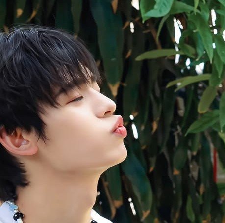 eepipor's tweet photo. noot noot https://t.co/vQXnutYQzV