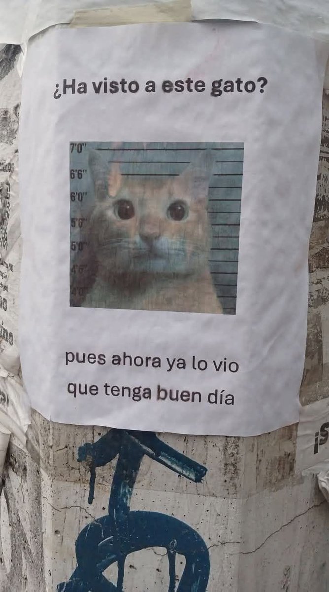 fachocat's tweet photo. Kkkkkkkkkk... https://t.co/MqXGfgp5kA