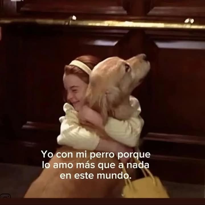 PicsLomitos_'s tweet photo. https://t.co/SZTaNxEqFG
