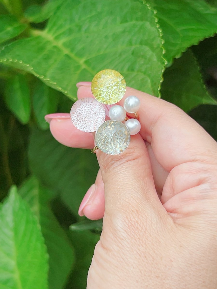 ohanayasun_ri5's tweet photo. ようやく暑くなって来ましたが、まだ世間は紫陽花咲いてますか？？

ｵﾊﾅﾔｻﾝの紫陽花はまだ葉脈が彩っております✨✨

https://t.co/U2juy8gsMF https://t.co/bHUlBcczKe