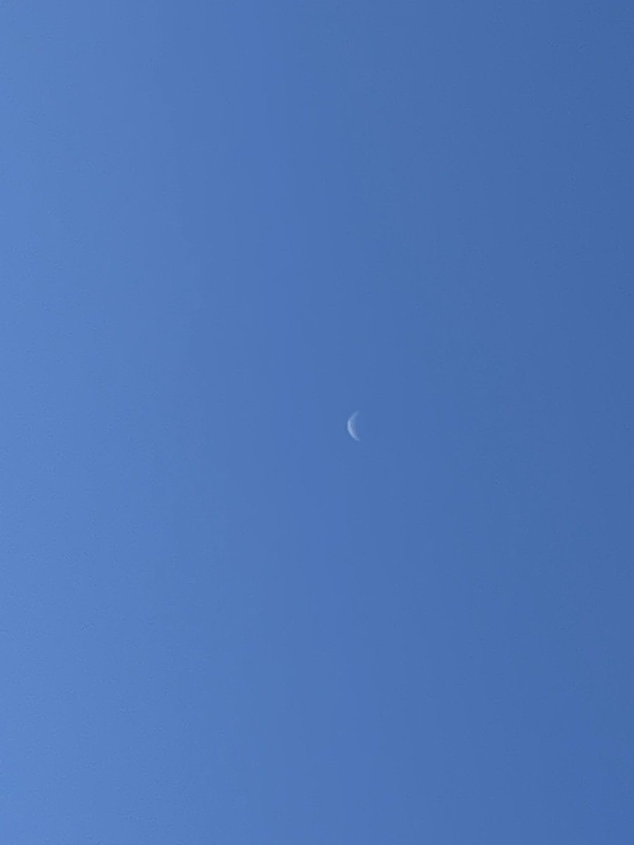 01271122m's tweet photo. 無駄に晴れた空に白い細い月
朝から涙が止まらない https://t.co/h15EMOmZ5D