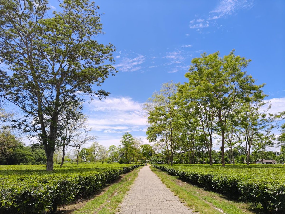 ShashwatMi26255's tweet photo. DAY-10/30 • ₹30K KING HUNT 👑

Today, let's talk about the Realme GT 7T.

Before we begin, I've spent enough time understanding what this phone is actually built for. 

If you're enjoying this series, drop a ❤️ and tell me which phone should be featured on Day-11!

✅ A display you'll actually enjoy every day: The 6.8-inch 1.5K LTPS AMOLED Display having 120Hz High Refresh Rate and 6000 NITS Local Peak Brightness.

✅ Reliable cameras for everyday photography: The 50MP Sony IMX896 (f/1.8) main camera With OIS + 8MP Ultra-wide Camera (f/2.2) and A Selfie Lens of 32MP Sony IMX615 (f/2.5). 

➡️ Both the front and rear cameras support 4K video recording at both 60FPS and 30FPS. 

✅ Performance that genuinely feels flagship-grade: The MediaTek Dimensity 8400-Max delivers exceptional everyday performance, whether you're multitasking, editing videos, or playing demanding games.

➡️ Paired with LPDDR5X RAM and UFS 3.1 - 128GB and UFS 4.0- 256/512GB in storage, app launches are lightning-fast and everything feels incredibly responsive. 

✅ Battery life that sets a new benchmark: The massive 7000mAh Si-C battery comfortably powers through a full day of heavy gaming, camera usage and entertainment.

➡️ And with 120W SUPERVOOC charging, you're back in action within minutes instead of hours.

✅ Cooling that isn't just marketing: The large vapor chamber of 10,000 mm² and  Iceberg Vapor Chamber cooling system help maintain stable performance during long gaming sessions.

✅ Built for the long run: With IP69 water & dust resistance, ArmorShell protection, 4 Android upgrades, and 6 years of security updates, the GT 7T is designed to stay relevant for years.

✅️ Some Extras: Wi-Fi 7, Bluetooth 5.4, multi-functional NFC, Stereo Speakers and In Display Fingerprint Sensor. 

But it's not perfect...

❌️ Does not have LTPO Panel Unlike Realme GT 6T. 

❌ Not a Great Ultrawide Cameras. 

❌ No Telephoto Lens. 

❌ At around 202g and 8.3 mm thick it can feel slightly heavy during long one-handed use.

❌ The design is practical but doesn't feel as premium as some glass-back rivals.

❌ Playing games at High FPS, the temperatures can sometime climb upto 46°C. 

❌️ No MicroSD Card Slot. 

Here's where the Realme GT 7T really stands out:

Choose this if you want:

• Flagship-level performance.

• Incredible battery life.

• Ultra-fast charging.

• One of the best gaming phones under ₹30K.

Look elsewhere if your priorities are:

• The best camera experience.

• An ultra-wide camera.

• A lightweight premium design.

Final Verdict 👑

The Realme GT 7T doesn't try to be everything.

Instead, it focuses on delivering an experience that power users will genuinely appreciate—blazing-fast performance, exceptional battery life, a gorgeous display, and software support that adds long-term value.

If gaming, multitasking, and endurance matter more than camera versatility, this is easily one of the strongest performance-focused smartphones under ₹30K.

But if photography is your biggest priority, you'll find better options elsewhere.

📌 Bookmark this thread if you're planning to buy a phone under ₹30K.

Follow, drop a ❤️, and tell me which smartphone should I review on Day-11!