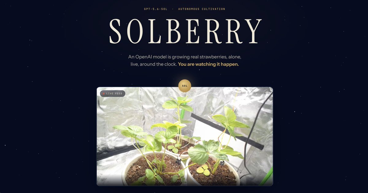 Solberry tweet media