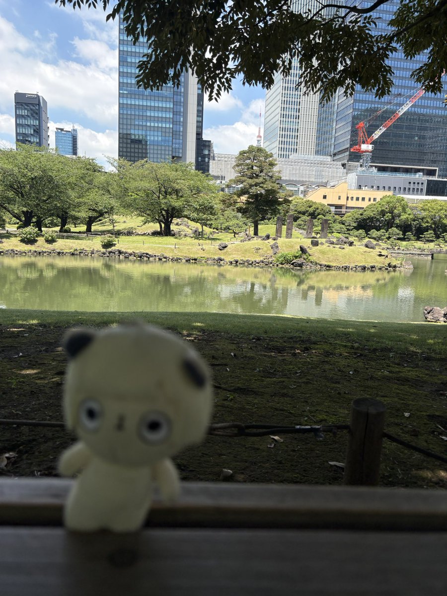 tpok9676's tweet photo. 朝活、あにょと散歩 https://t.co/a8P3WsKaq0