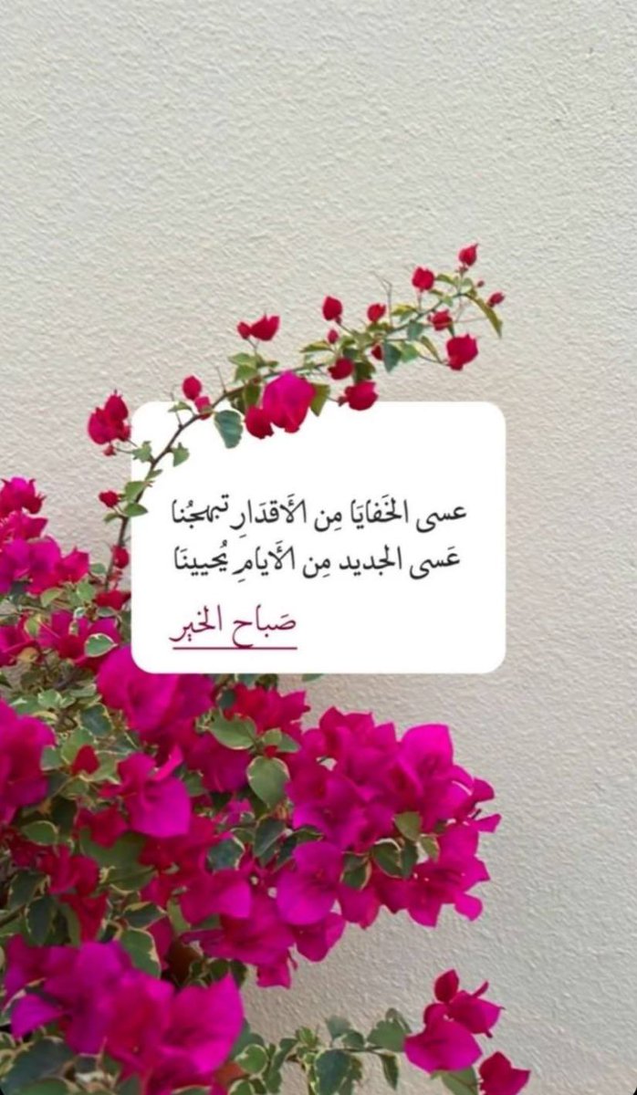 a7asis33's tweet photo. https://t.co/5FrOheHGoC