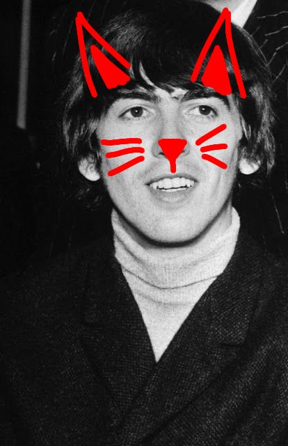 ⭐️ Brian 🪲 tweet media