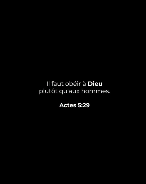 LaBiblesurlenet's tweet photo. https://t.co/tiQFMQOV3s