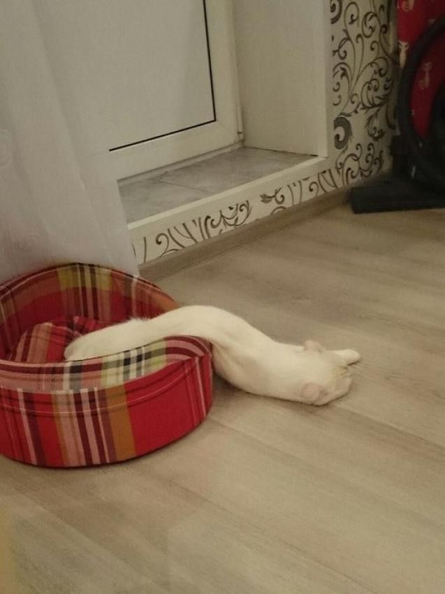 weirdnlovely's tweet photo. 요즘 날씨 요약 https://t.co/6UDwuC15RF