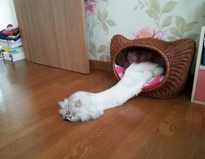 weirdnlovely's tweet photo. 요즘 날씨 요약 https://t.co/6UDwuC15RF
