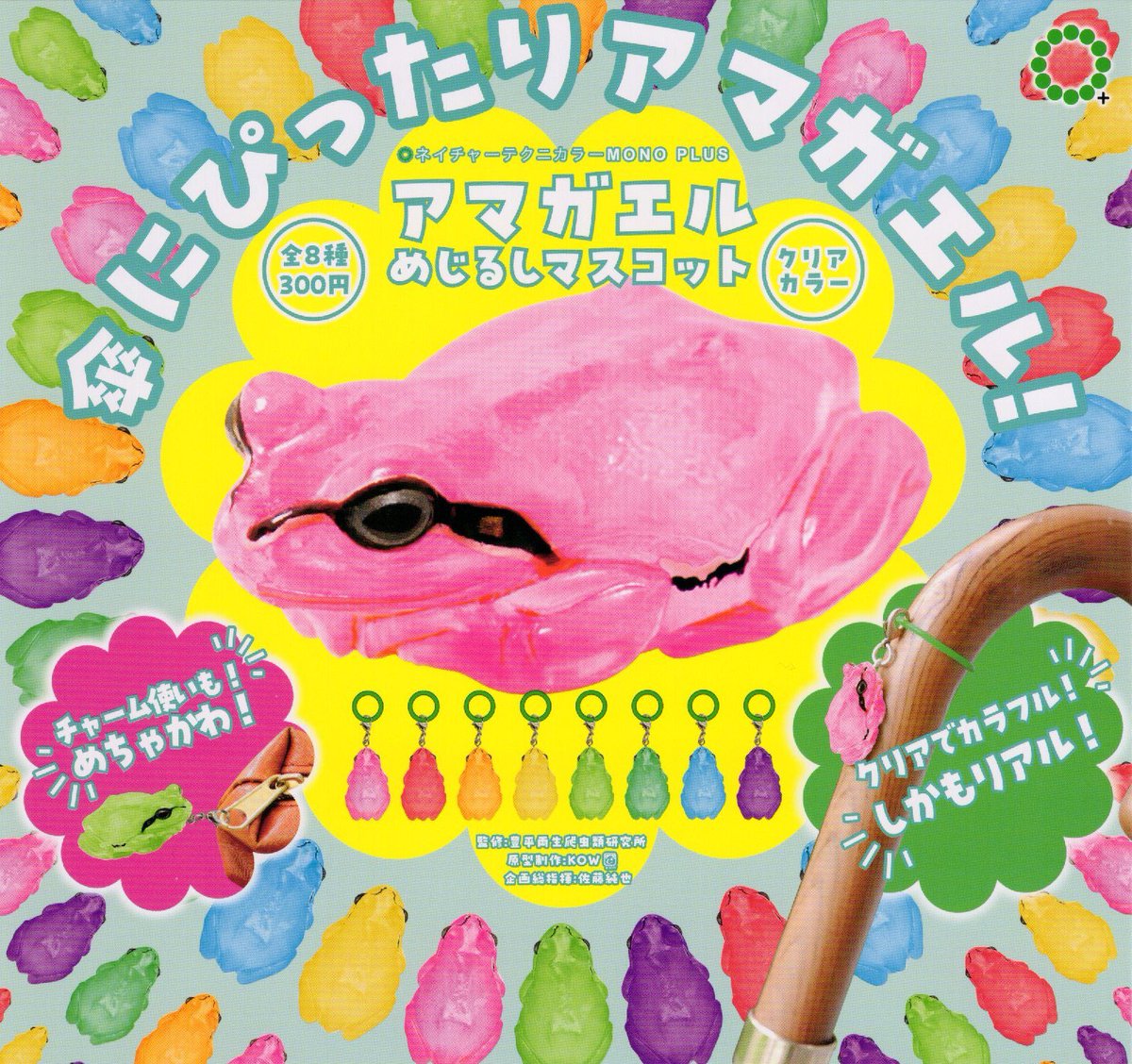 7月10日 🌻入荷情報🍧 【本店】 🐸アマガエル めじるしマスコット 🐈猫