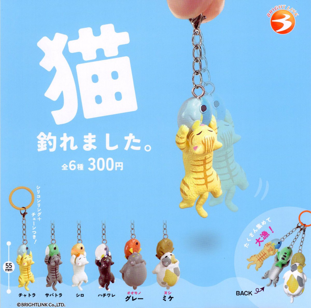 文玩堂：「ドジョウ背獅子頭・文玩クルミ（精品）」 7/11 (土) 📣完売のお知らせ📣 🎣猫 釣れました。 🐤mojojojo Teddy
