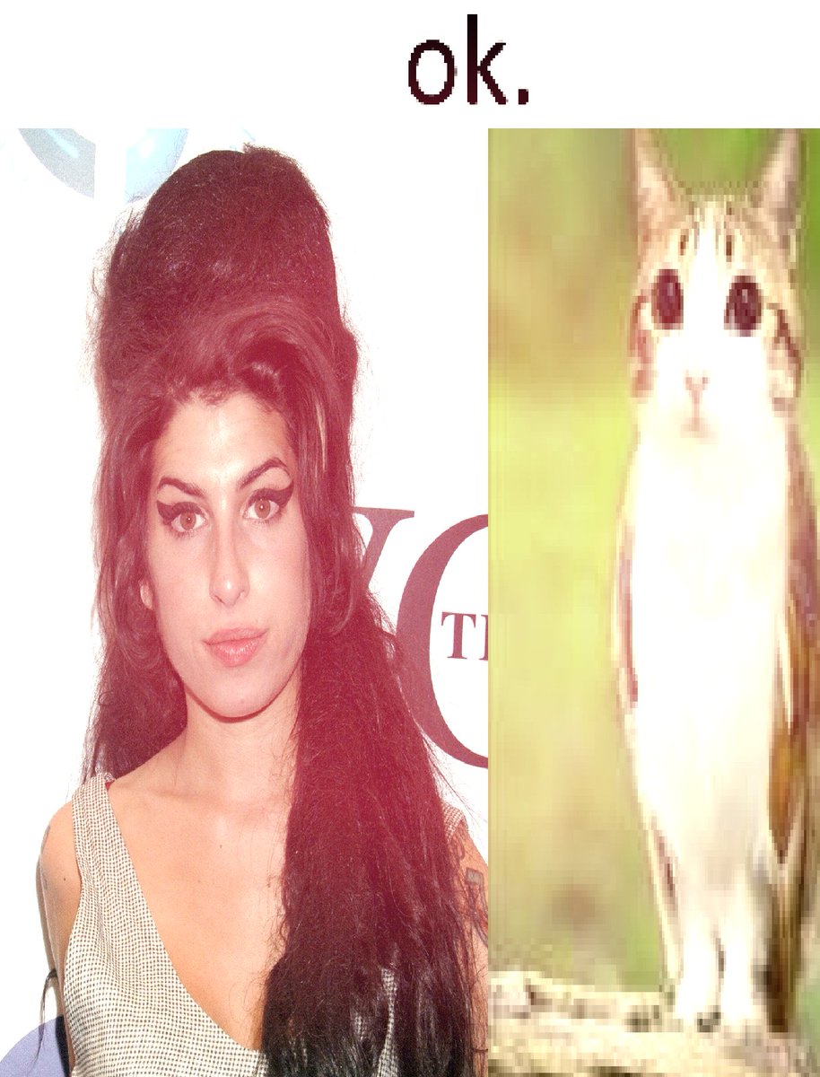 AmyTweethouse's tweet photo. "I don't like Amy Winehouse and Nas"
me asf af as fuck https://t.co/1iYumKKT44
