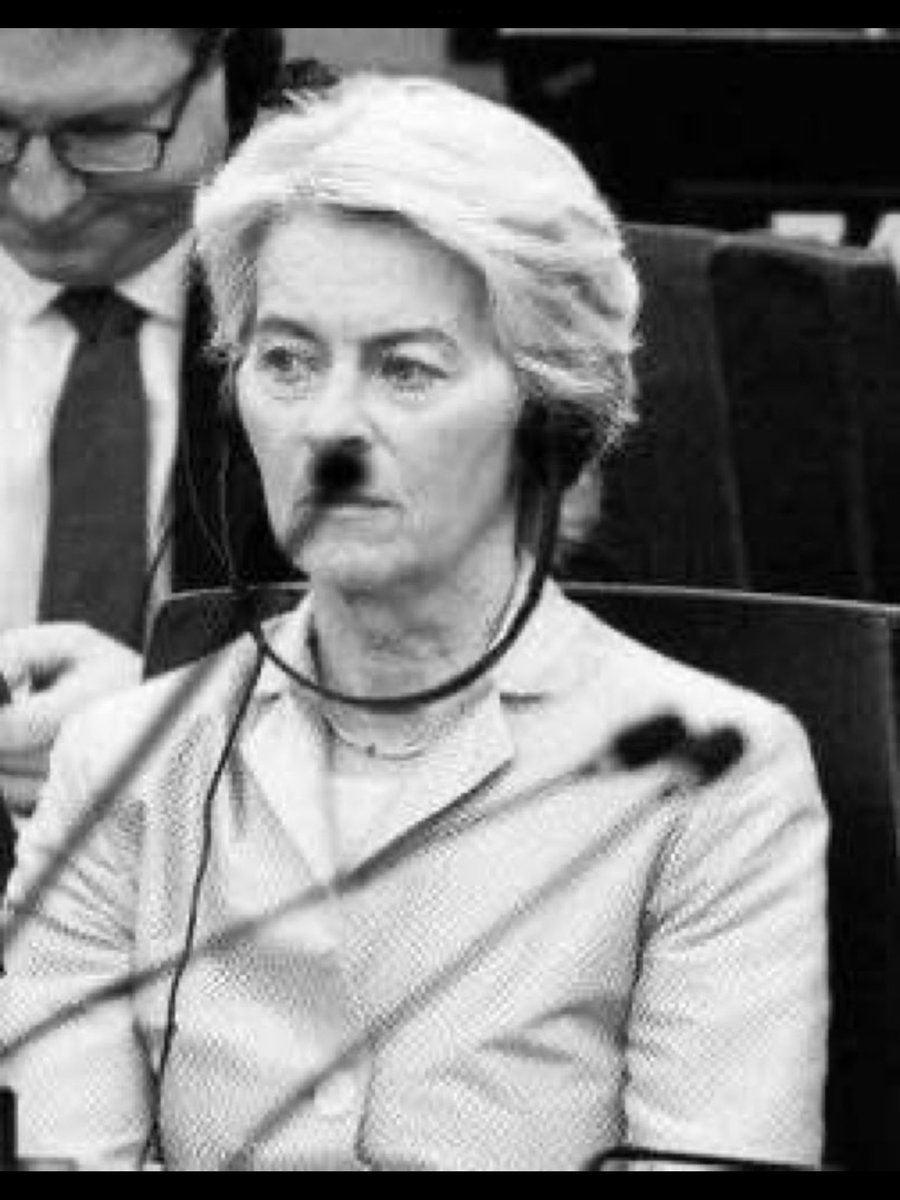 asandigoni's tweet photo. Heil @vonderleyen. 🙋🏻‍♂️ https://t.co/zkS89DPqkX