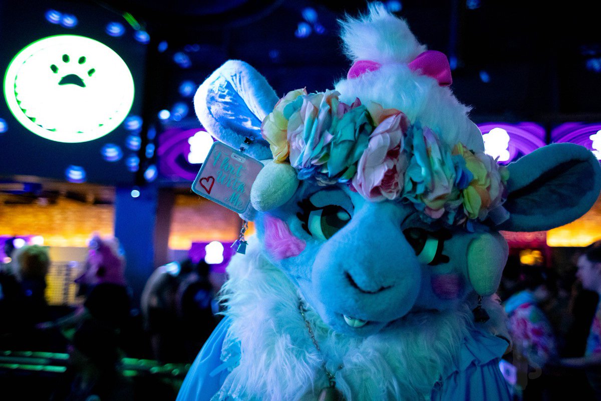 DozingUnicorn 🔜 AC tweet media