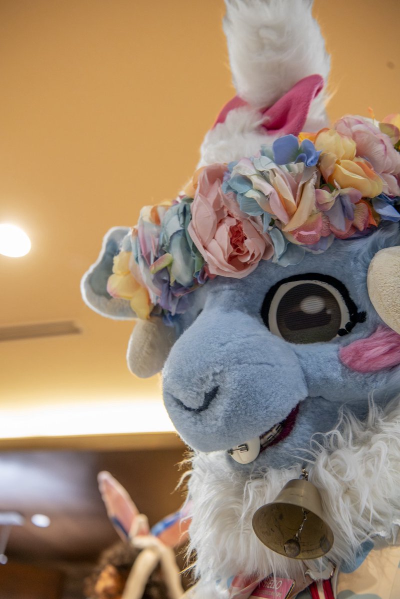 DozingUnicorn 🔜 AC tweet media