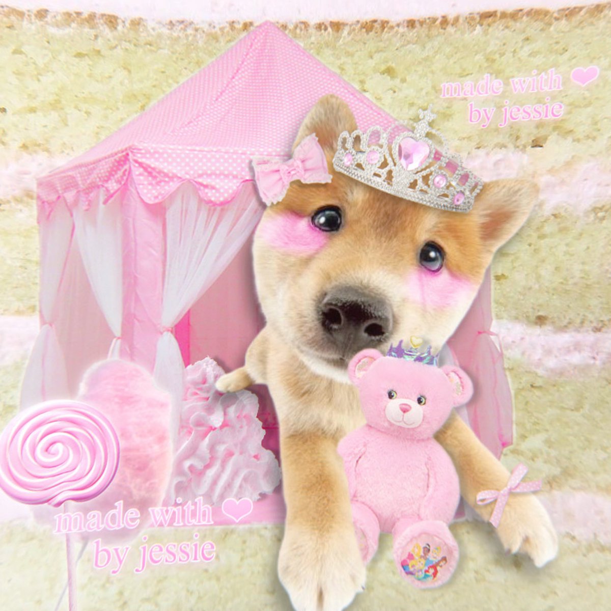 funfettiara's tweet photo. puppy paw-rincess! 💝🐩🧁🍭🫧👑 https://t.co/onjetfmG1R
