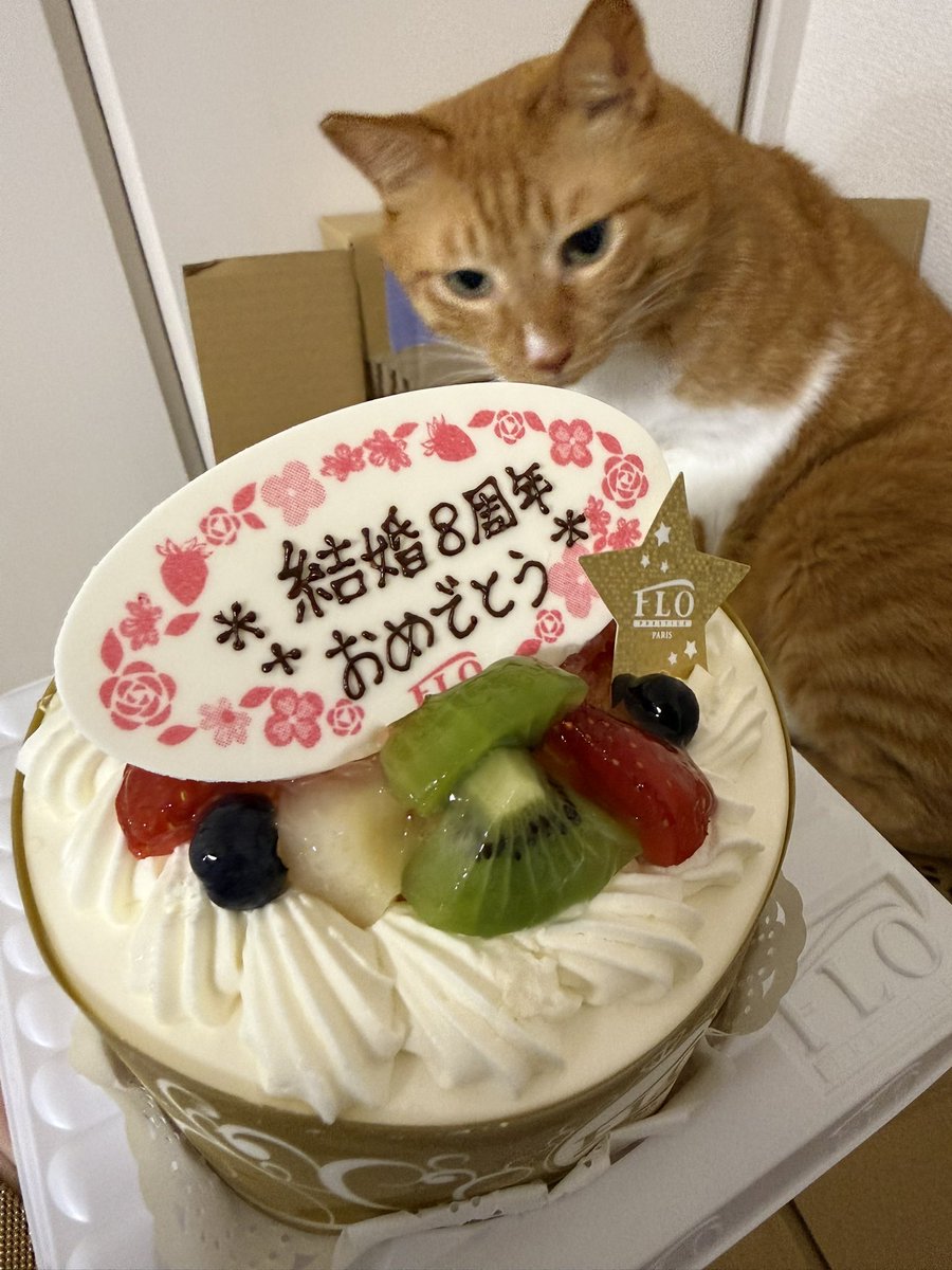 bu_bu_bu_07's tweet photo. 昨日は誕生日でした〜🎉
今年も美味しいディナーありがとう🫶
七夕の結婚記念日も楽しく過ごしました😌 https://t.co/ZWR0ThJ4jJ