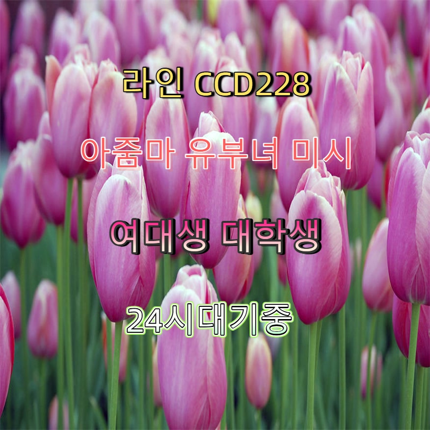 GrrlObscene's tweet photo. #경산 #경산조건만남 #조건 #오프 #경산ㅈㄱ 😯 https://t.co/xroA8mZ6To