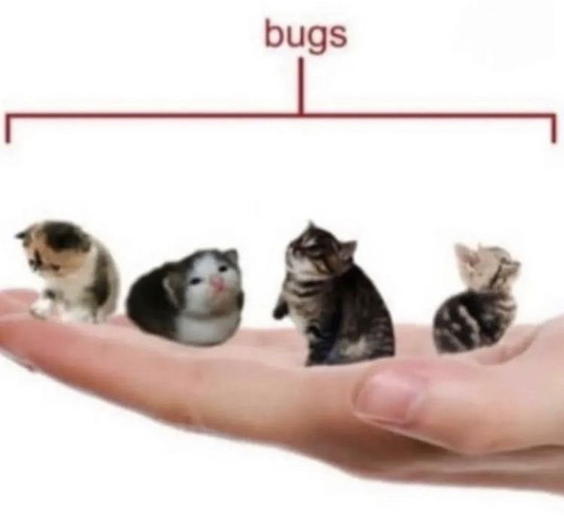 PunchingCat's tweet photo. https://t.co/l10ClVadh5