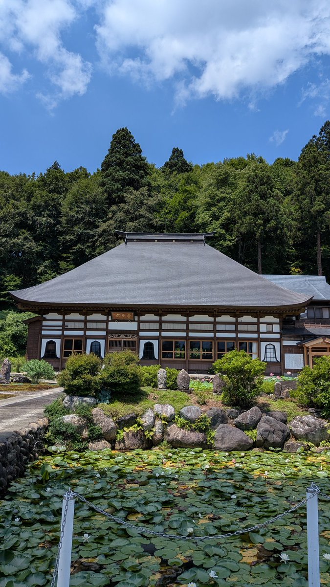 mori_nako_jun's tweet photo. お疲れ様です😊
今日は新潟県にある「曹洞宗 宝泉寺」に行って来ました🙋「二千年蓮」で有名だそうです✌️本堂の周りが蓮でいっぱいでした❗二千年蓮は咲き始めていましたが、本堂の裏はまだ咲いていませんでした😂ご住職が在宅でしたので、御朱印も頂きました🙆 https://t.co/0bvjf4dpGP