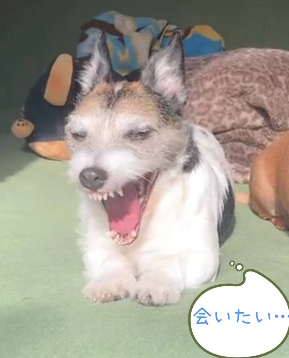 coriolis_OKI's tweet photo. 明日7/11（土）　コリオリは21時オープンです。お天気が心配ですが、ご来店お待ちしてます。 https://t.co/tk7qkHupoA