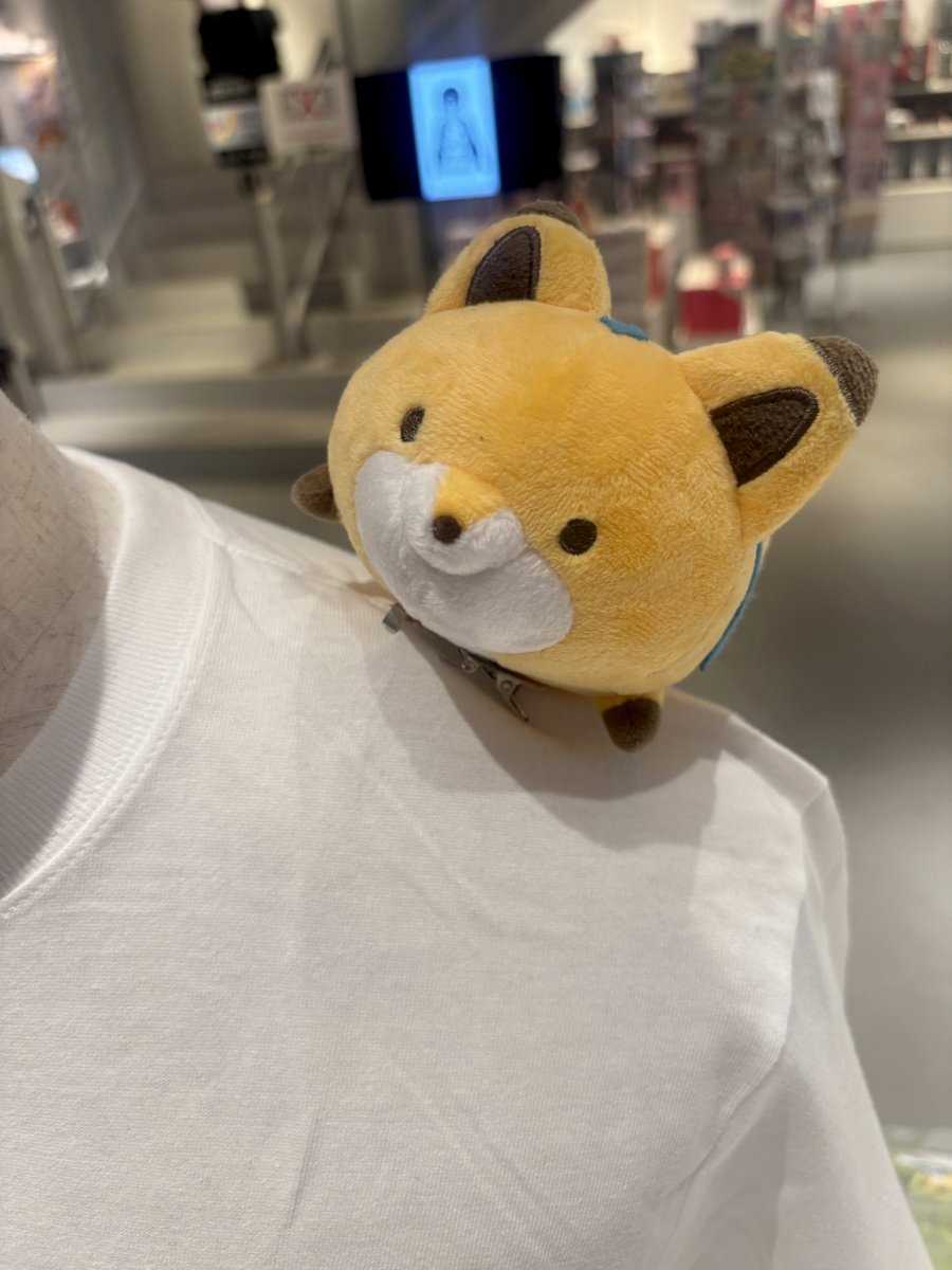 tanu_kitsu's tweet photo. ✧˖°⌖ 𝟏𝟎𝐭𝐡 𝐀𝐧𝐧𝐢𝐯𝐞𝐫𝐬𝐚𝐫𝐲 ⌖°˖✧
　   #タヌキとキツネ
  𝐓𝐒𝐔𝐓𝐀𝐘𝐀 𝐏𝐎𝐏 𝐔𝐏 𝐒𝐇𝐎𝐏 
✨大阪会場は本日タート✨

10周年記念イラストを使用したグッズがたくさん登場.ᐟ.ᐟ
【肩乗せマスコット】も本会場から直接ご購入できます✨🎉

📍TSUTAYA EBISUBASHI B1階 大阪 IP書店
📅8月10日(月)まで

🎀詳細はこちらをチェック.ᐟ.ᐟ
https://t.co/3yYF6atuKh

#大阪IP書店 #エビツタ
