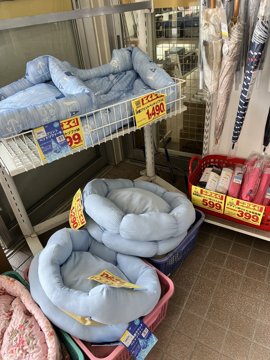 ThreeBell24's tweet photo. おはようございます☀️村上暑い‼️皆さん、熱中症気をつけてね！今日は久しぶりにカッパヤさん出��です！ https://t.co/YrAI8R4zMj