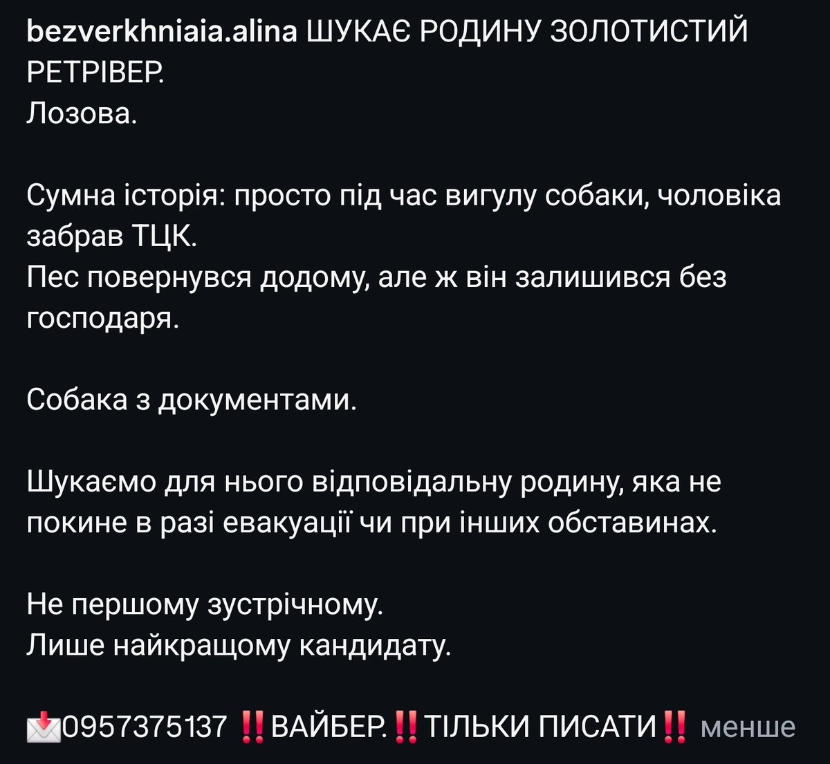 sheriff_in314xl's tweet photo. Тут така історія...
Може, хтось хоче собі ретривера?..

Прошу репост. Навіть сторінки на три підписника, як то кажуть. До речі, саме такий репост спрацював щодо Маї і так ми знайшли їй пет-батьків. https://t.co/A7c5fSXXy0