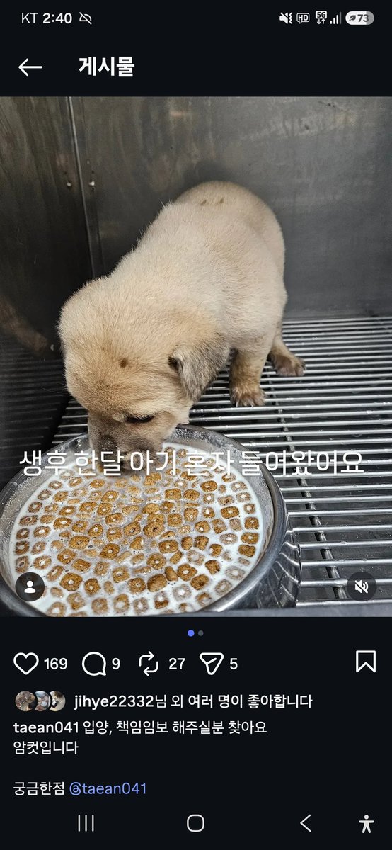 animalrtaccount's tweet photo. 생후1달 아기 입양,임보처 구해요
태안보호소
시보호소라서 입양안가면 안락사입니다
입양문의 위탁병원 041 672 0346 https://t.co/gJGRAt65HX