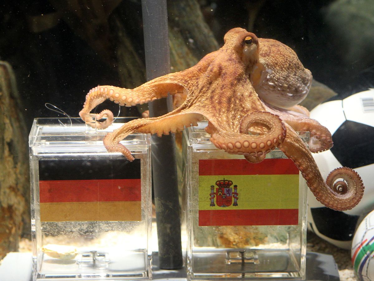 The_Davos_Man's tweet photo. The real world cup mascot always ends up being something else.

2010 - Paul the Octopus who correctly predicted all games
2014 - James Rodrigues grasshopper
2022 - The cat that cursed Brazil
2026 - Merlin the Mexican duck https://t.co/MbBiIhX2zq