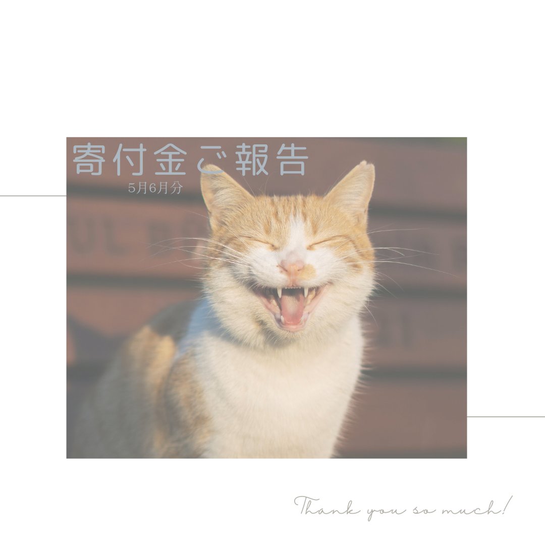 neco_no_mori22's tweet photo. neconomoriです。
今回は750円の寄付をねこかつさん
@nekokatsu_1 にいたしました。

猫ちゃんが幸せであります様に。

イエネコを「防除推進外来種」に指定するなんてちょっと考えられません。
https://t.co/w5a8G7LyDX
食い止めなくては！！！
ぜひ一度URLをご覧いただけると幸いです。 https://t.co/hFqznaP57b
