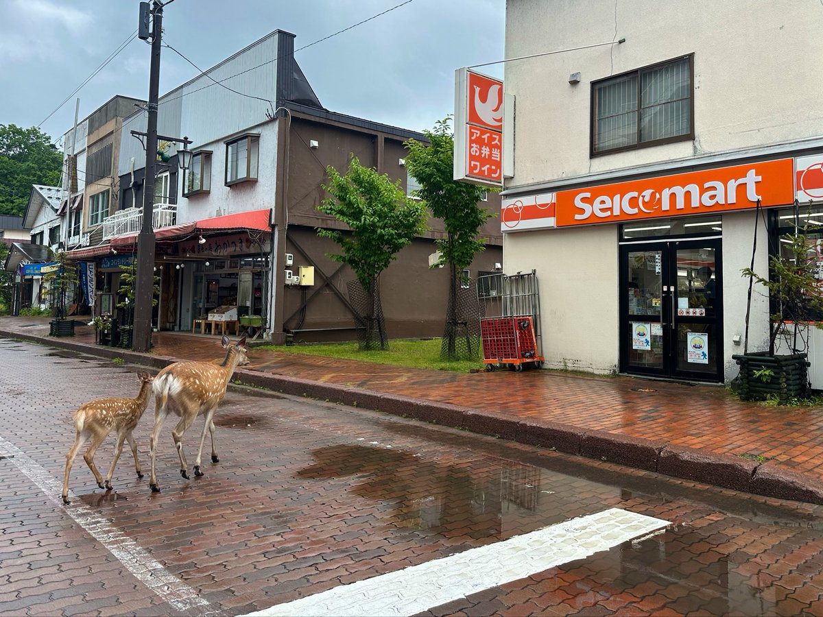 Akan_Nature's tweet photo. お昼はセコマ🦌✨
＃阿寒湖 https://t.co/FZBqMxrppx