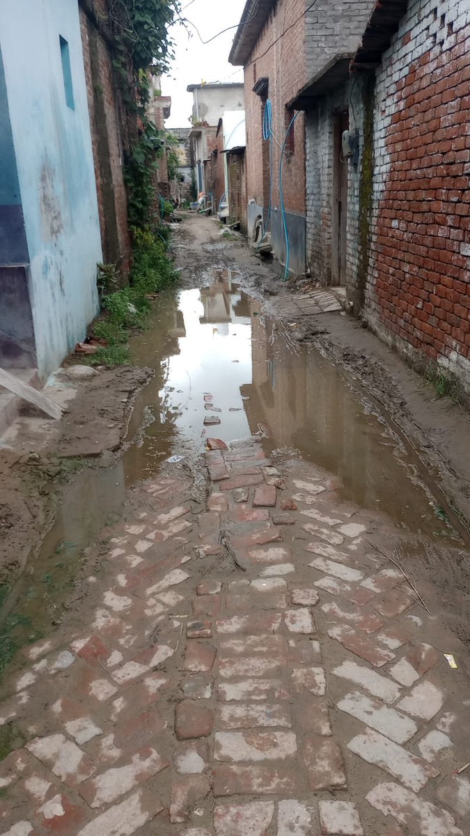 isha_saga's tweet photo. बरेली के विकास खंड नवाबगंज की ग्राम पंचायत में गली में जलभराव और टूटी सड़क से ग्रामीण परेशान हैं। शिकायत के बावजूद "कार्य पूर्ण" की गलत रिपोर्ट लगा दी गई, जबकि तस्वीर सच्चाई बता रही है। कृपया निष्पक्ष जांच कर दोषियों पर कार्रवाई कर सड़क व जल निकासी का कार्य तत्काल कराया जाए। https://t.co/rwoPqM4ELM