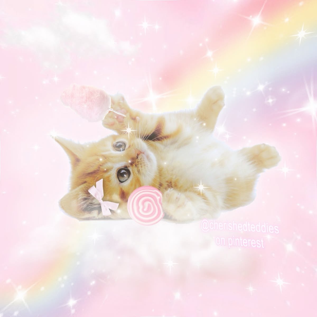bugzy ‧˚꒰🐾୭ ˚. ᵎᵎ tweet media